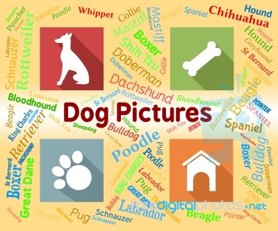 Dog Pictures Means Pets Pups And Words Stock Image