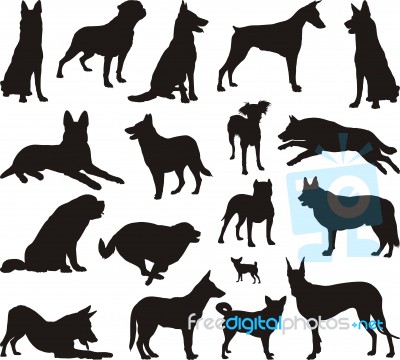 Dog Silhouette Stock Image