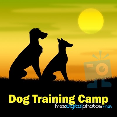 Dog Training Camp Means Coach Pups And Doggy Stock Image