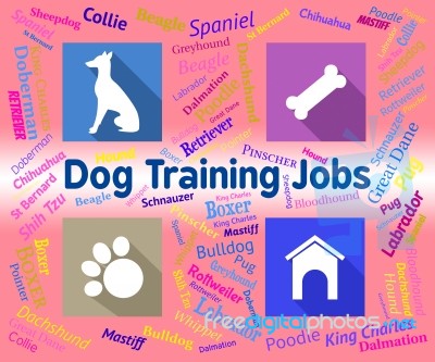 Dog Training Jobs Indicates Canines Jobs And Employment Stock Image