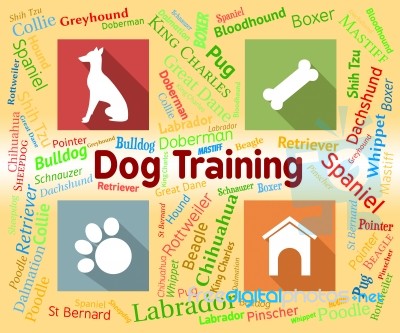 Dog Training Shows Pet Puppy And Pedigree Stock Image