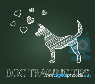 Dog Training Tips Shows Instruction Skills And Coaching Stock Image