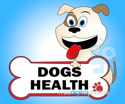 Dogs Health Means Pups Purebred And Wellbeing Stock Image