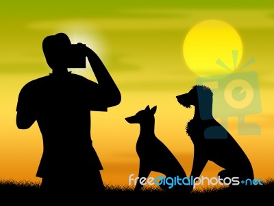 Dogs Photo Means Photographer Camera And Puppies Stock Image