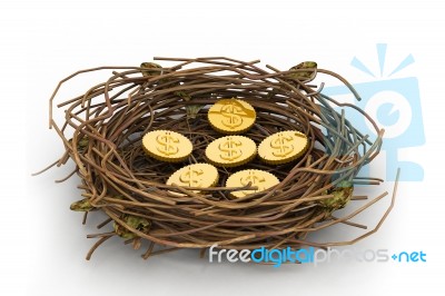Dollar Coin In Nest Stock Image