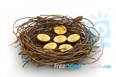 Dollar Coin In Nest Stock Image
