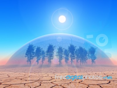 Dome Stock Image
