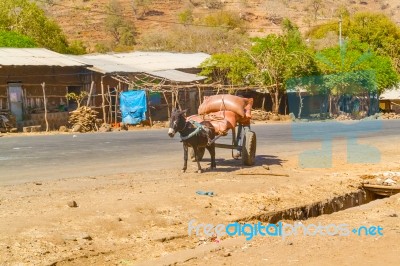Donkey And The Cart In Ethiopia Stock Photo