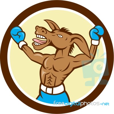 Donkey Boxing Celebrate Circle Cartoon Stock Image