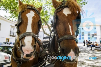 Double Horse Carriage Parked Stock Photo