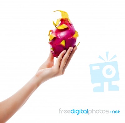 Dragon Fruit In Hand On White Background Stock Photo
