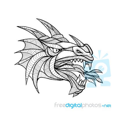 Dragon Head Zentagle Stock Image