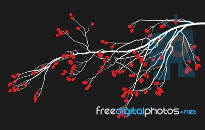 Drawing Of A Hawthorn Twig Stock Image Drawing Of A Hawthorn Twig Stock Image