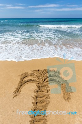 Drawing Of Palm Tree On Sandy Beach Stock Photo