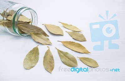 Dried Bay Leaves In Glass Jar On White Wooden Background Stock Photo