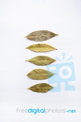 Dried Bay Leaves Isolated On White Wooden Background With Copy S… Stock Photo