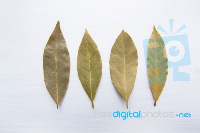 Dried Bay Leaves On White Wooden Background Stock Photo
