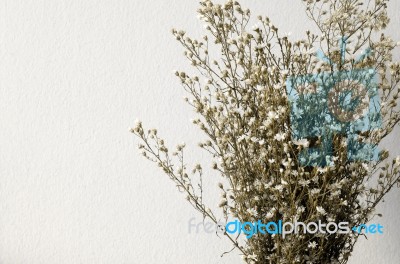 Dried Bouquet Of White Flowers Stock Photo