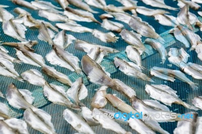 Dried Fish Stock Photo