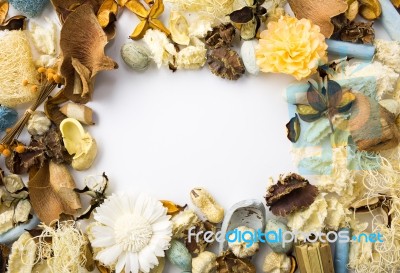 Dried Flowers Frame Stock Photo