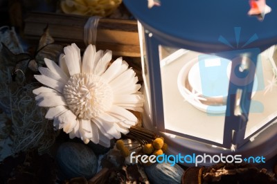 Dried Flowers With Lamp Stock Photo