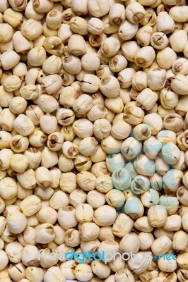 Dried Lotus Seeds Stock Photo