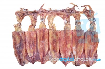 Dried Squid Isolated On White Background Stock Photo