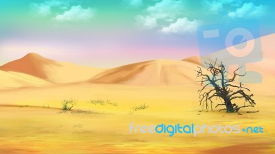 Dried Tree In The Hot Desert Stock Image