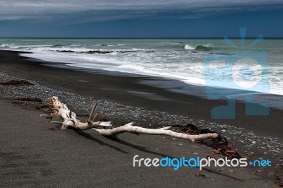 Driftwood On Rarangi Beach Stock Photo