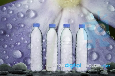 Drinking Water Stock Photo