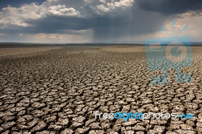 Drought Stock Photo