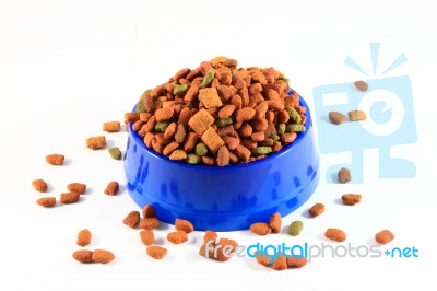 Dry Cat Food Stock Photo