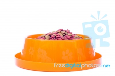 Dry Cat Food In Orange Bowl Isolated On White Background Stock Photo