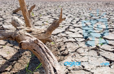 Dry Ground Stock Photo