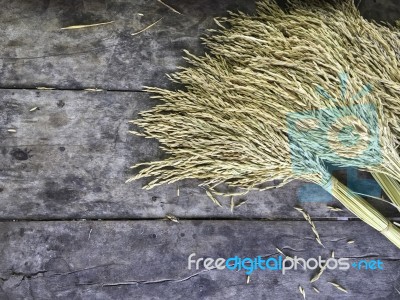 Dry Raw Rice Paddy Beautifully Tie With Brown Rope On Old Wood T… Stock Photo