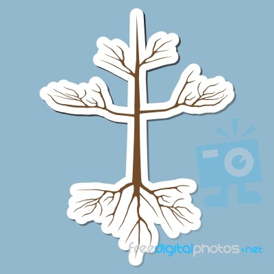 Dry Tree With Root Stock Image