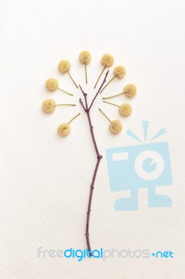 Dry Wood Stick With Flower Vintage Style Stock Photo