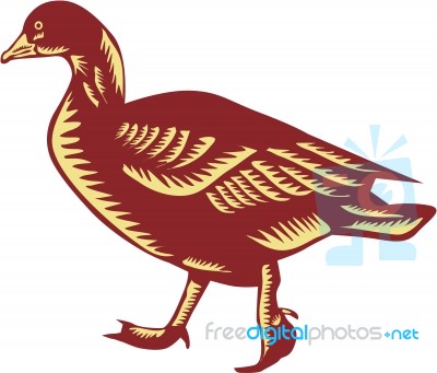 Duck Walking Side Woodcut Stock Image