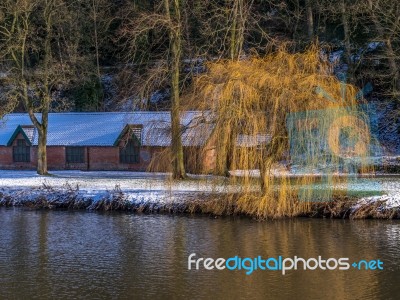 Durham, County Durham/uk - January 19 : Weeping Willow On The Ba… Stock Photo