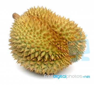 Durian Stock Photo