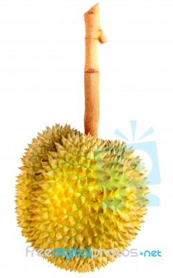 Durian Stock Photo