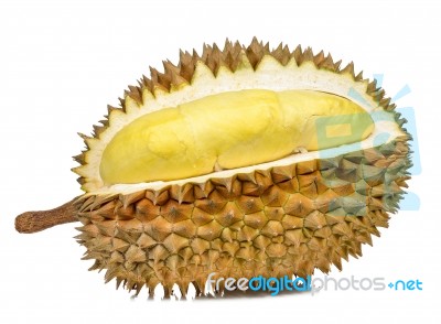 Durian Isolated On The White Background Stock Photo