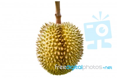 Durian On White Background Stock Photo