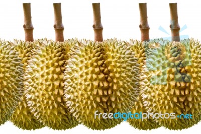 Durian On White Background Stock Photo