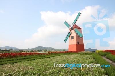 Dutch Windmill On Little Flower Garden Stock Photo
