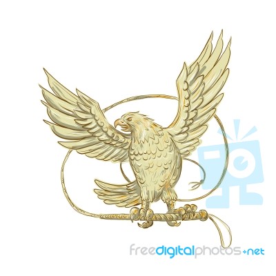 Eagle Clutching Bullwhip Drawing Stock Image