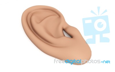 Ear Anatomy Stock Image