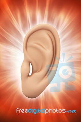Ear Anatomy Stock Image