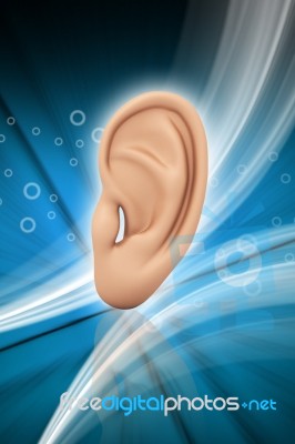 Ear Anatomy Stock Image