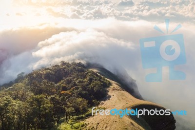 Early Morning Foggy  Sunrise On  Top Of Mountain Soft Focus Grai… Stock Photo